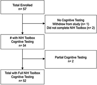 Children with non-central nervous system tumors treated with platinum-based chemotherapy are at risk for hearing loss and cognitive impairments